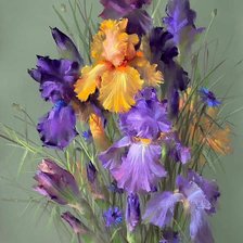 Схема вышивки «ИРИСЫ»