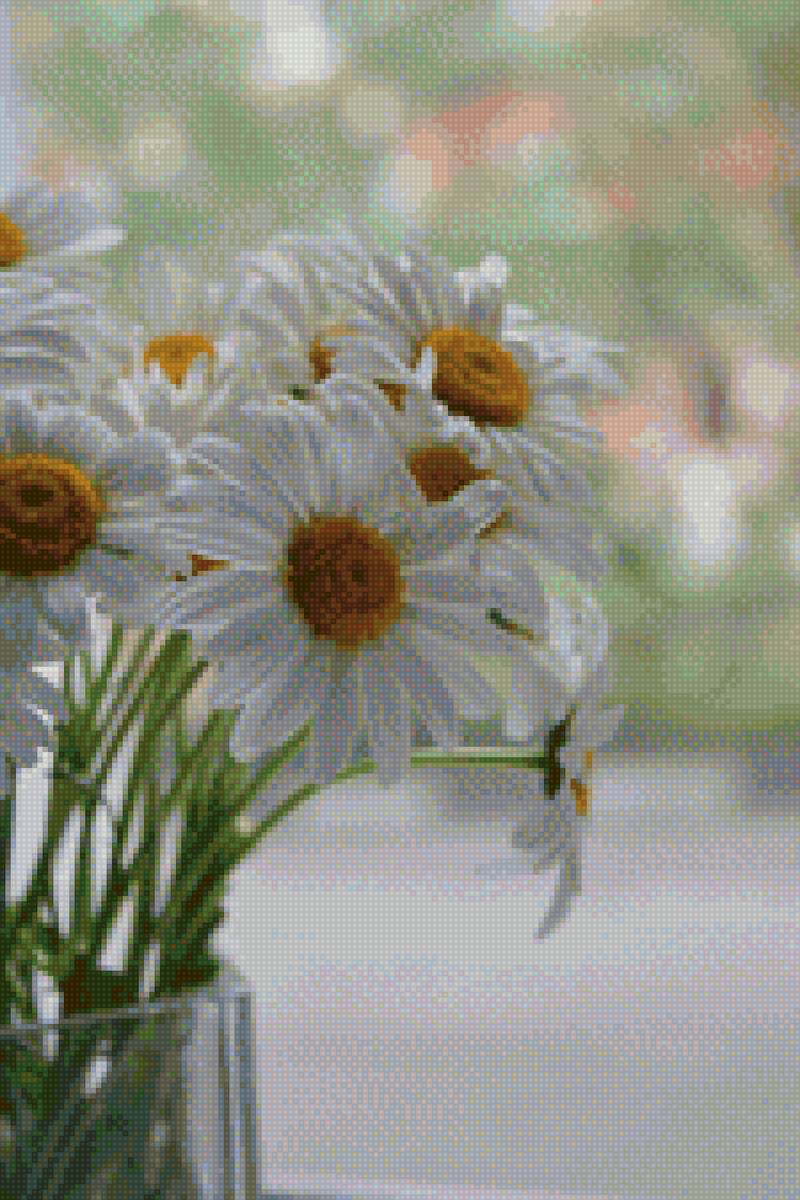 Букет ромашек - цветы, букет, натюрморт, ромашки - предпросмотр