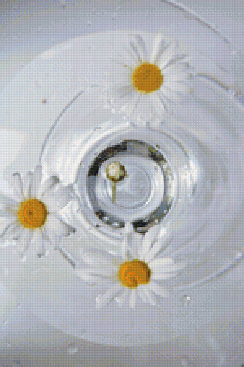 Ромашки - ромашки, ваза, цветы - предпросмотр