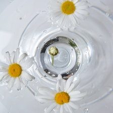 Схема вышивки «Ромашки»