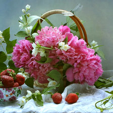 Схема вышивки «пионы»