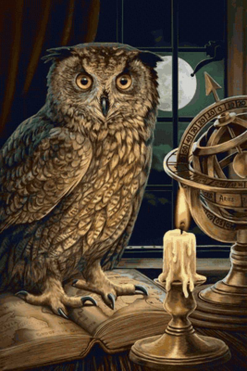 мудрая сова - книги, сова, птицы, свеча - предпросмотр