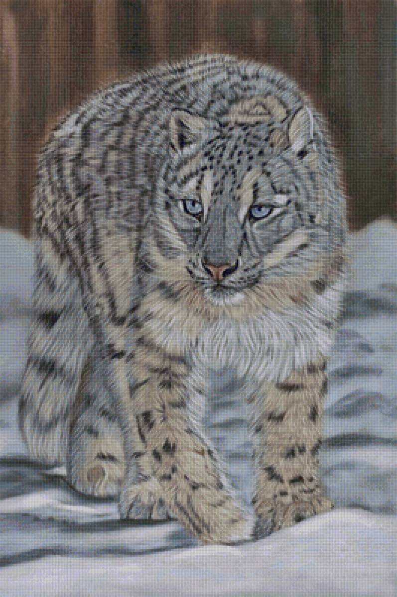 Leopardo. - animais. - предпросмотр