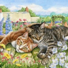 Схема вышивки «Gatos.»