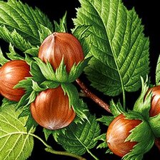 Схема вышивки «№2335384»