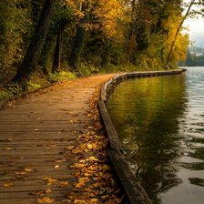 Схема вышивки «Дорога»