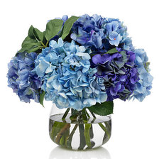 Схема вышивки «Синие гортензии»