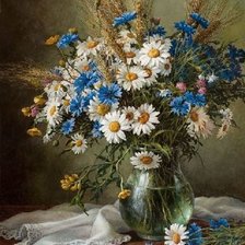 Полевые цветы