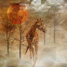 Схема вышивки «African Dream 2»