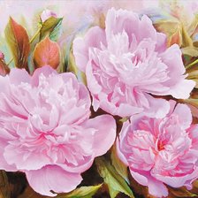 Схема вышивки «Trzy piwonie»