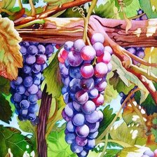 Схема вышивки «Виноград»
