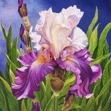 Схема вышивки «Ирисы»