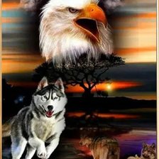 Схема вышивки «№2335914»