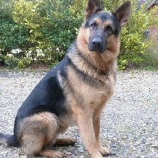 Схема вышивки «№2335918»