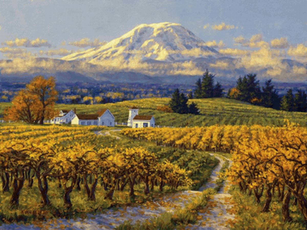 Cultivo de uvas. - casa.videiras.montanhas. - предпросмотр