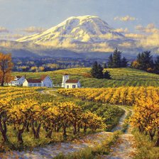 Схема вышивки «Cultivo de uvas.»