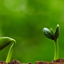 Схема вышивки «Весна»