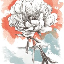 Схема вышивки «Пион»