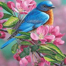 Схема вышивки «ветка яблони»