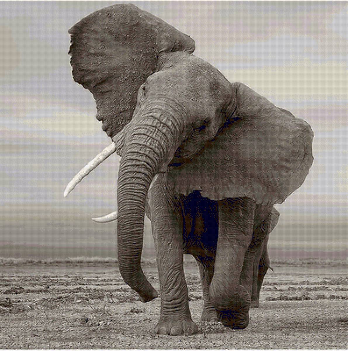 áfrica - naturaleza - предпросмотр