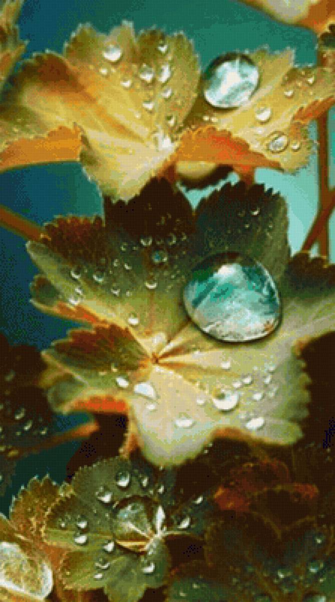 Gotas - agua - предпросмотр