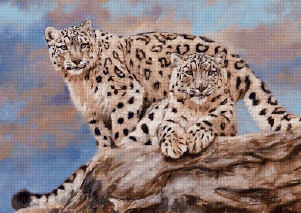 casal de leopardo. - animais.pintura. - предпросмотр