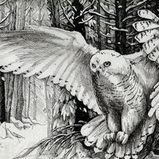 Схема вышивки «Букля»