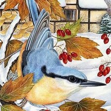 Схема вышивки «Pássaro.»