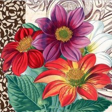 Схема вышивки «Boque de dálias.»