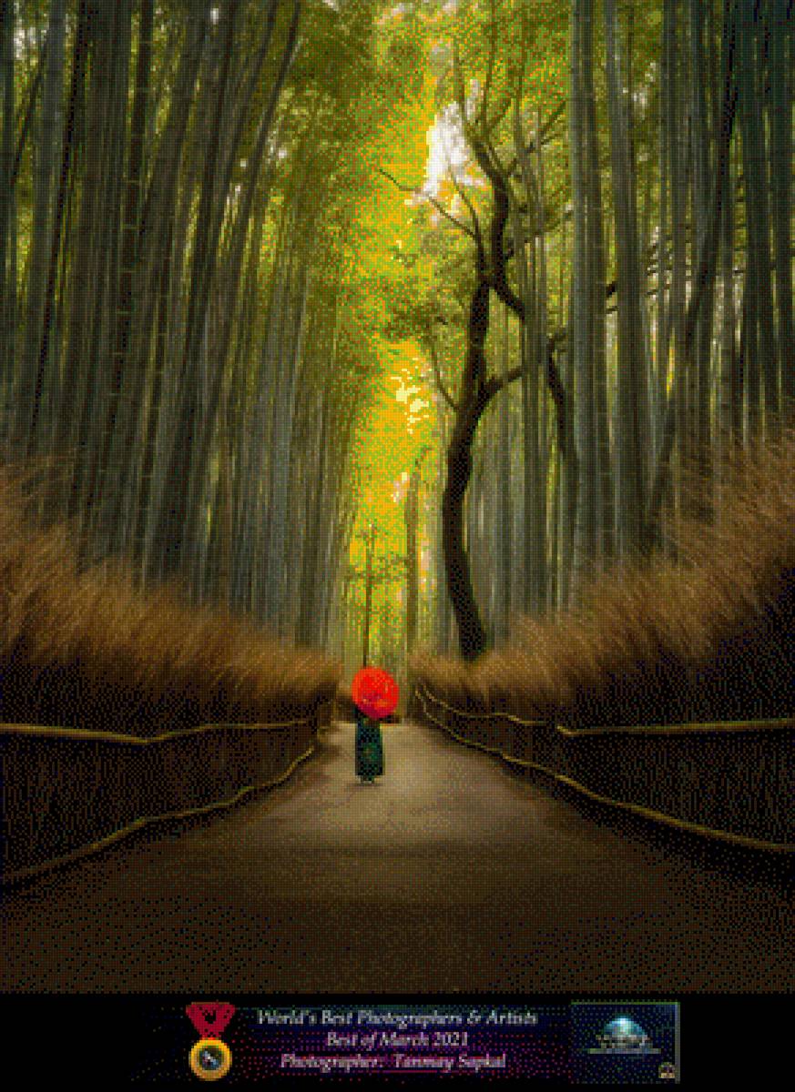 мост в лесу - лес, мост - предпросмотр