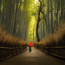 Схема вышивки «мост в лесу»