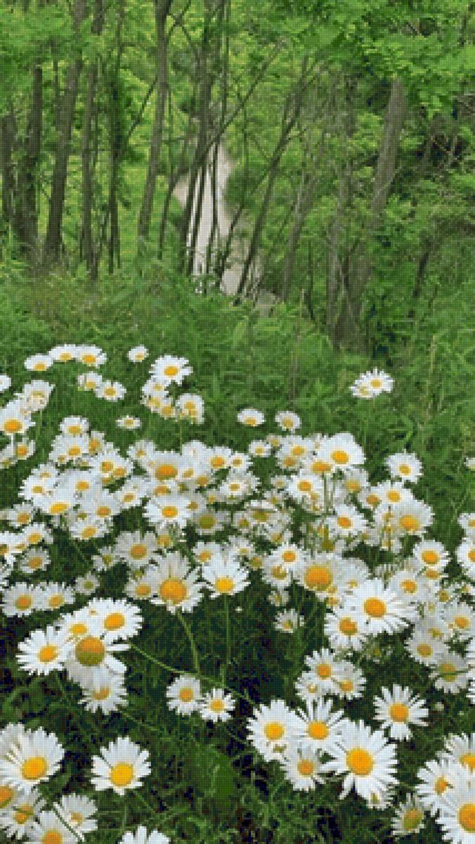 Paisagem. - flores. rio. floresta. - предпросмотр