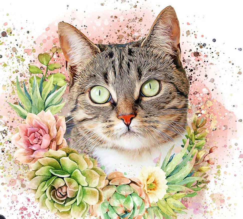 Gato. - animais pintura .ilustração - оригинал