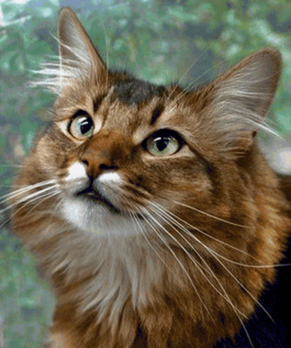 Gato. - animais. - предпросмотр