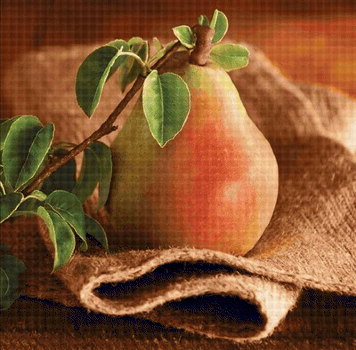 Груша - предпросмотр