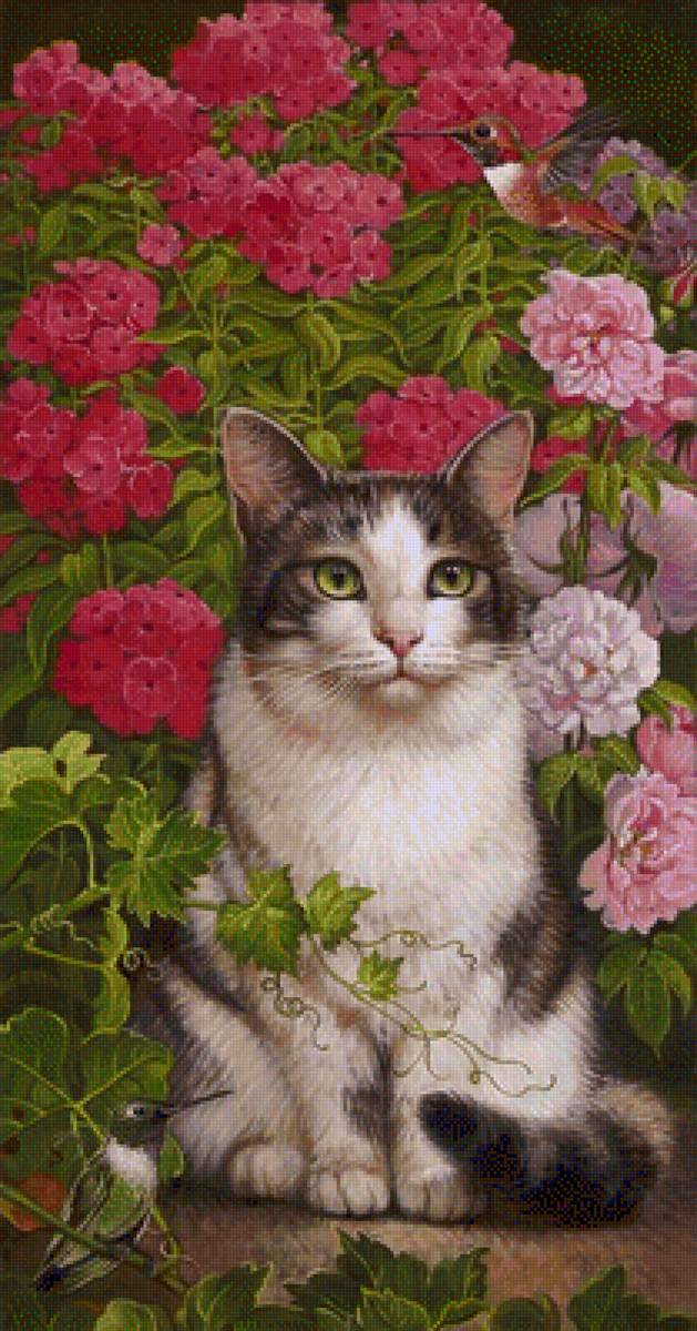 Gatito - предпросмотр