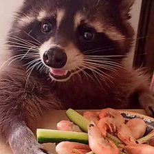 Схема вышивки «Марк 200*318»