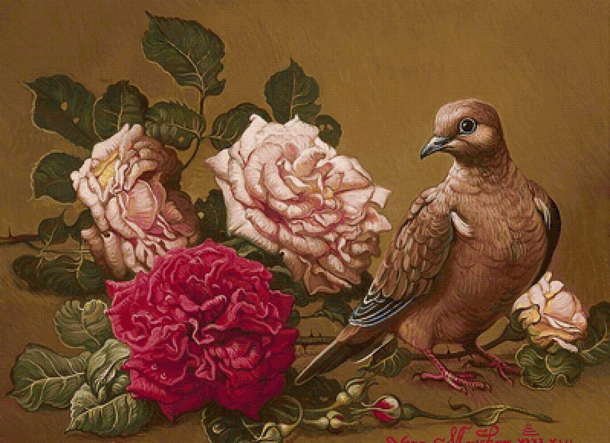 Rosas e pássaro. - flores .rosas .pássaro. - предпросмотр