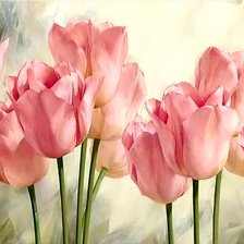 Схема вышивки «Розовые тюльпаны»