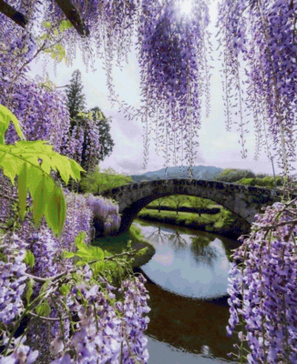 violeta - paisaje - предпросмотр