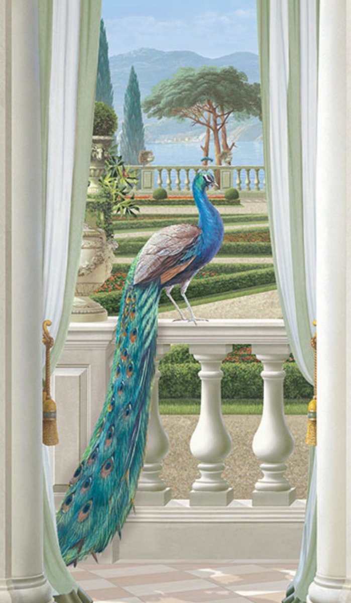 pavo real - ventana - оригинал