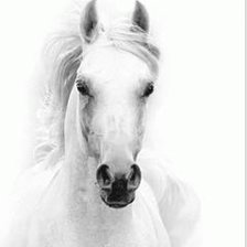 Схема вышивки «Триптих 14 а»