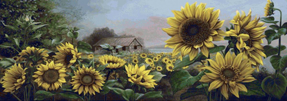 подсолнухи - пейзажи - предпросмотр
