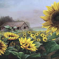 подсолнухи