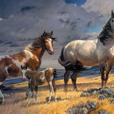 Схема вышивки «мустанги»