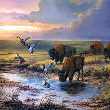 Схема вышивки «в прерии»