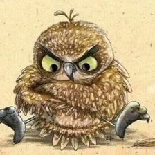 Схема вышивки «Злюка в перьях»