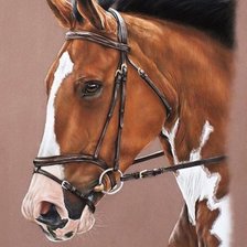 Схема вышивки «Cavalo.»