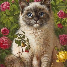 Схема вышивки «Gato e flores.»