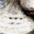 Предпросмотр схемы вышивки «Gato.» (№2339998)